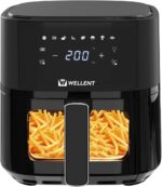 Wellent Wellfryair43 4.3L