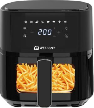 Wellent Wellfryair43 4.3L